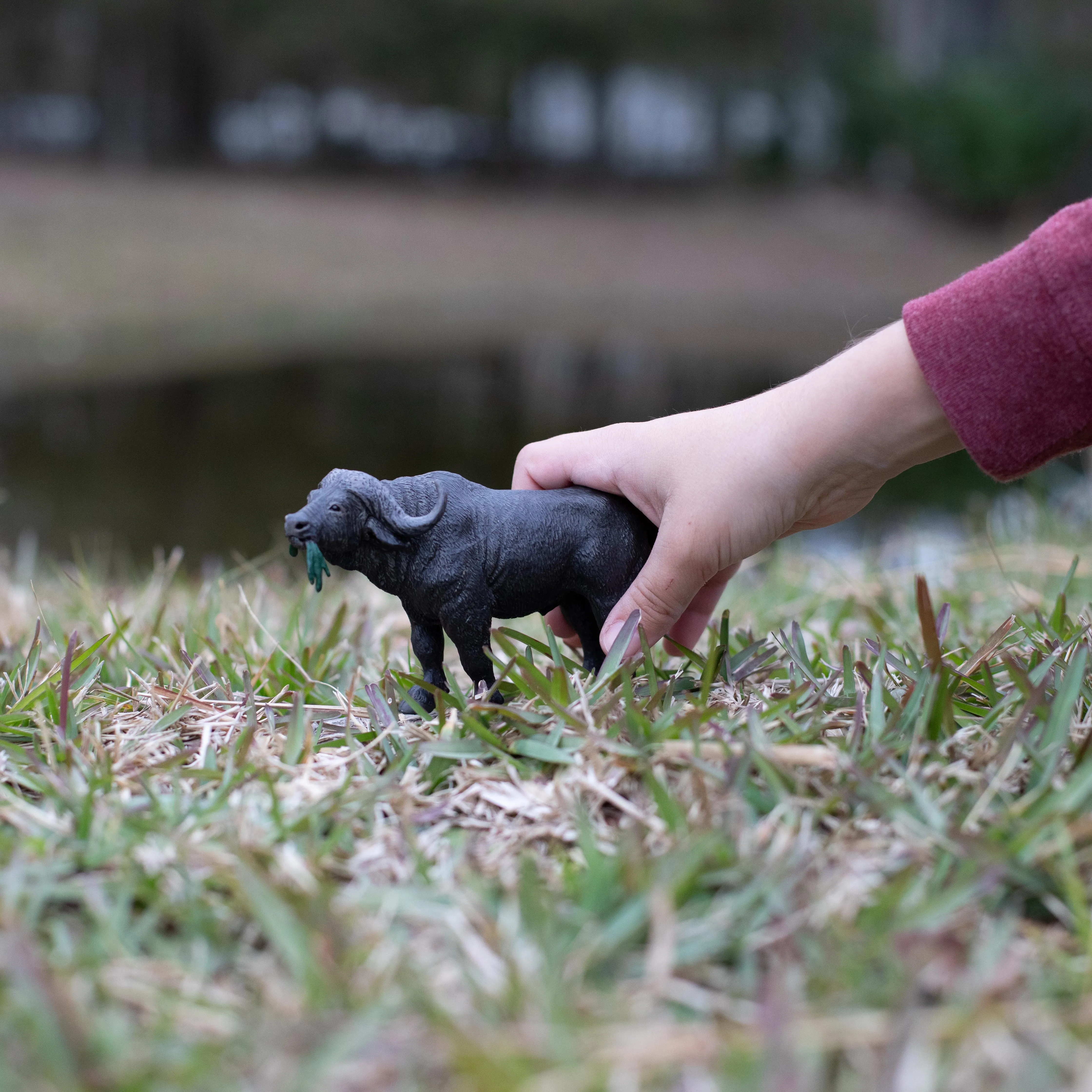 Cape Buffalo Toy